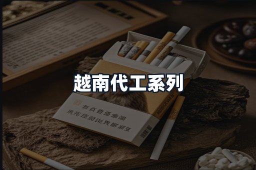 越南代工系列